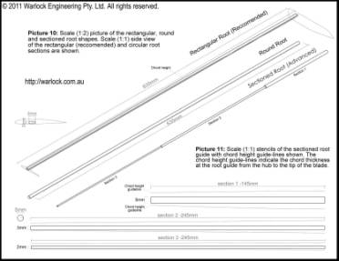 Root shape and properties